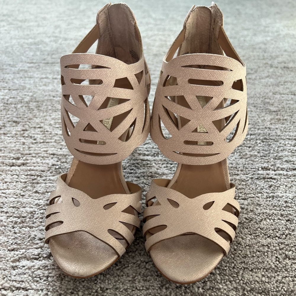 Audrey Brooke size 6.5 heels.